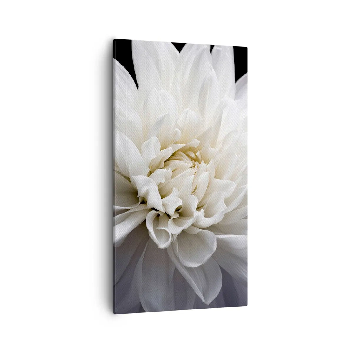 Canvastavla - Bild på duk - En bruds morgon - 55x100 cm