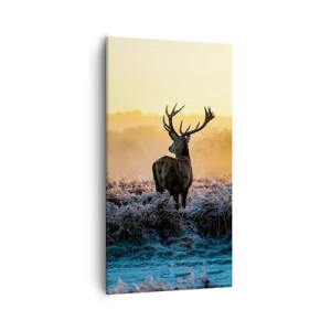 Canvastavla - Bild på duk - Krönt på sin mark - 55x100 cm