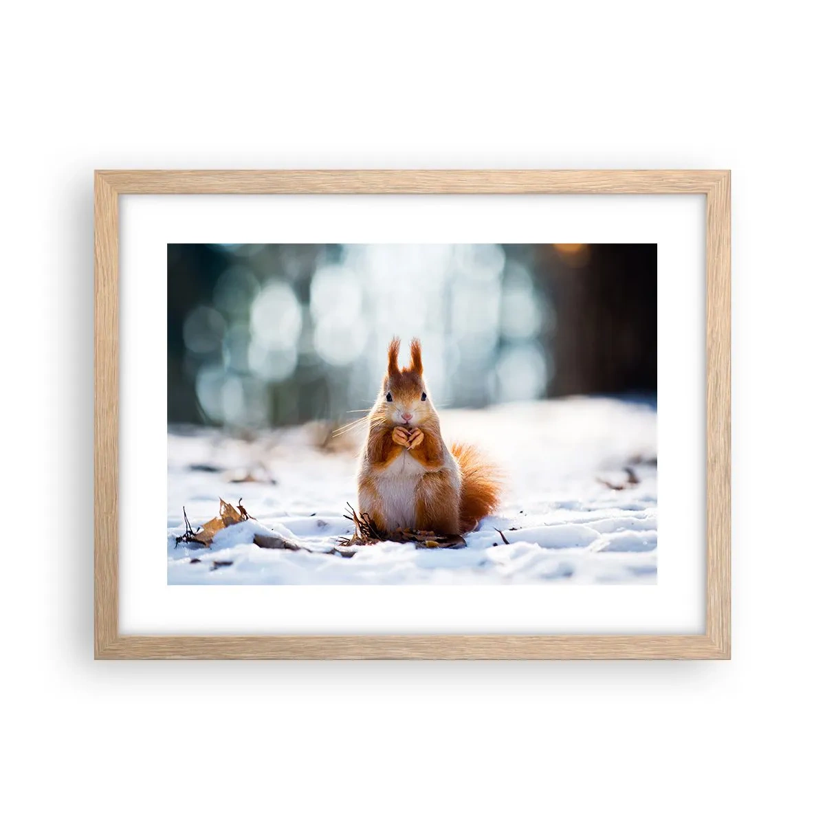 Affisch i ram av ljusek - Vad glor du på? - 40x30 cm