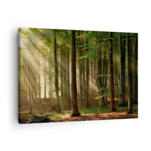 Canvastavla - Bild på duk - Solstrålar som tränger igenom träden i skogen - 70x50cm - Utstrålande på en vårmorgon - Modern väggdekoration för vardagsrum och sovrum ARTTOR