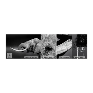 Provbit av självhäftande fototapet Deluxe Sticker - Ja, nu är det bra - Djur, Elefant, Afrika - 100x30 cm