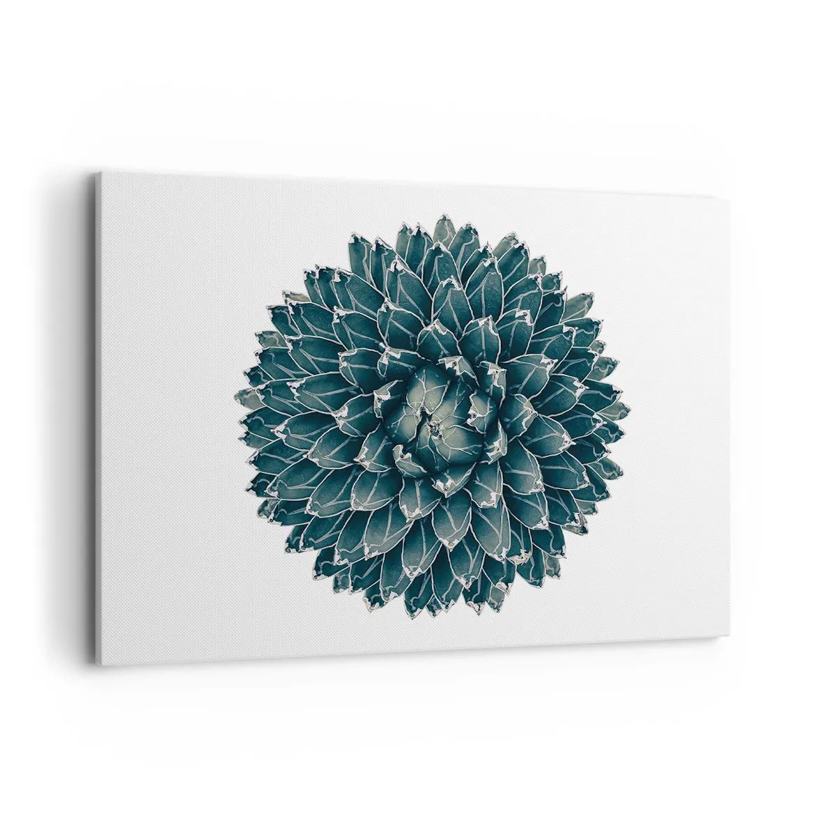 Canvastavla - Bild på duk - Öknens stjärna - 100x70 cm