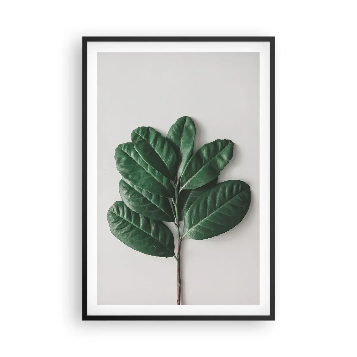 Affisch i svart ram - Själva naturens bild - 61x91 cm