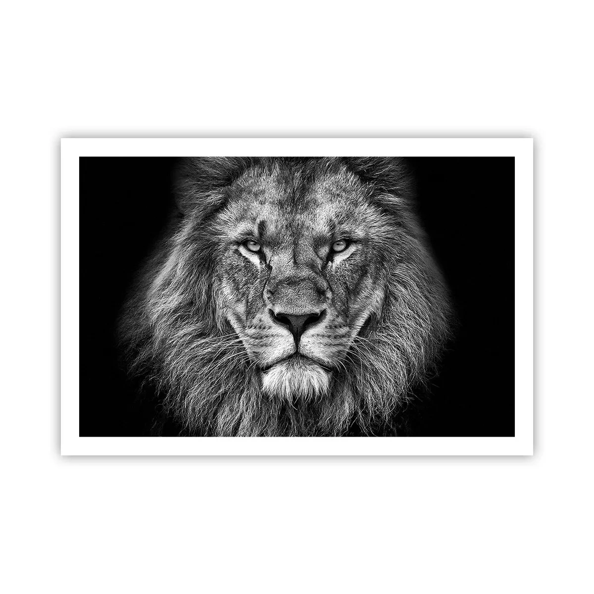 Affisch - I kröningskläder - 91x61 cm