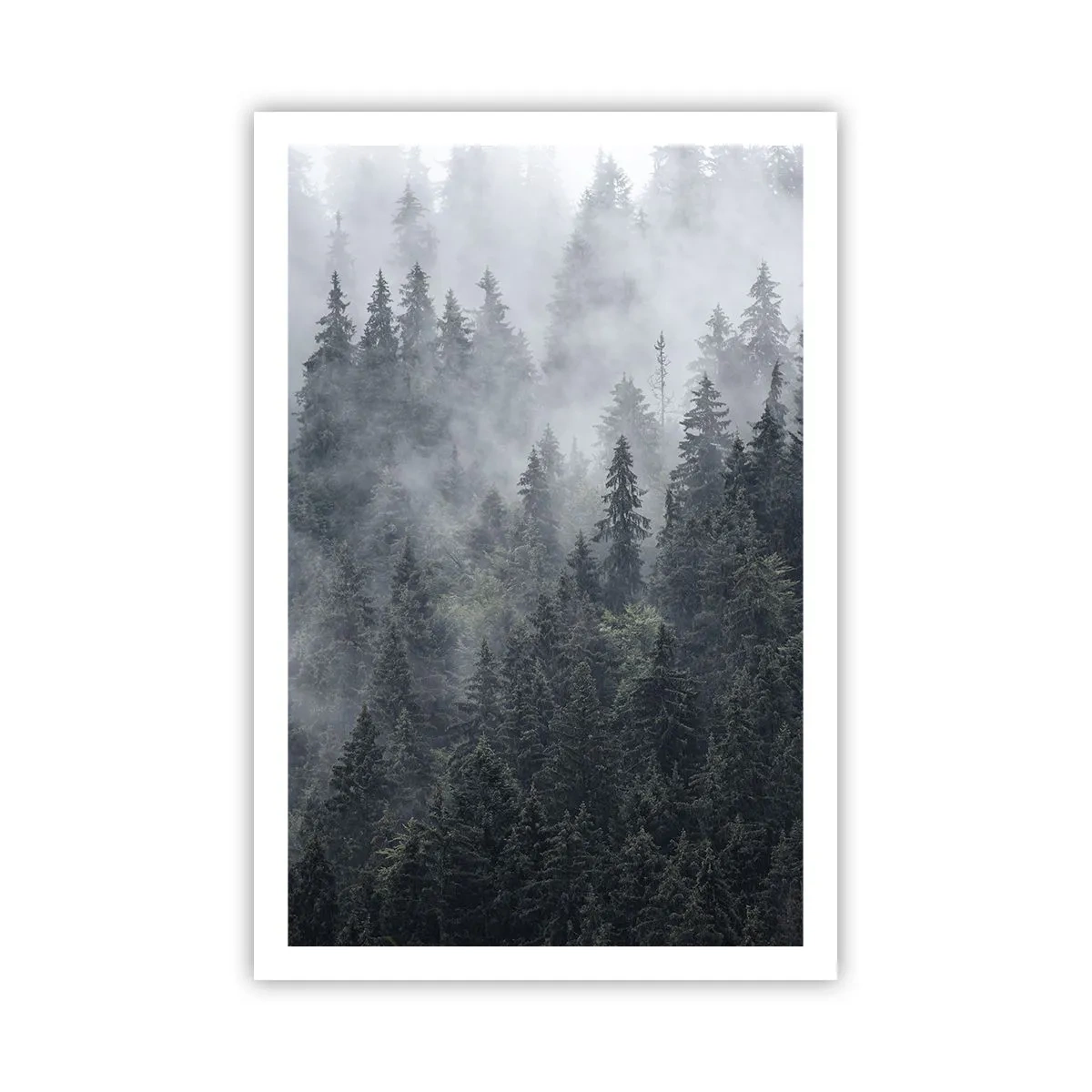 Affisch - Gryning i skogen - 61x91 cm