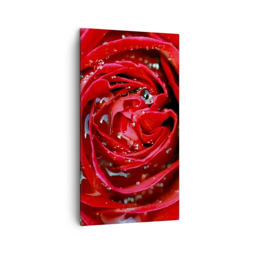 Canvastavla - Bild på duk - Daggdroppar - 45x80 cm