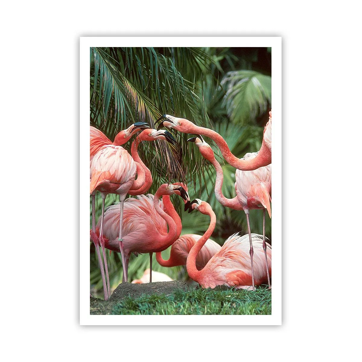 Affisch - Eftermiddags skvaller - 70x100 cm