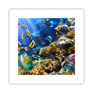 Affisch - Hög trafik på sommarleden - 30x30 cm