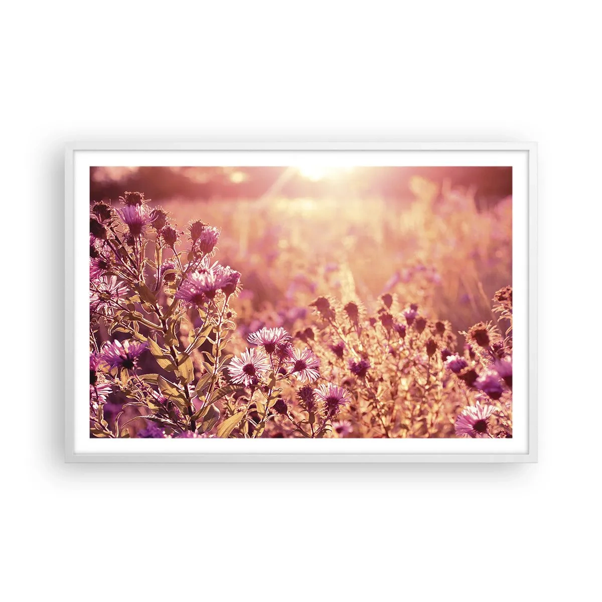 Affisch i vit ram - Innan sommaren går bort - 91x61 cm