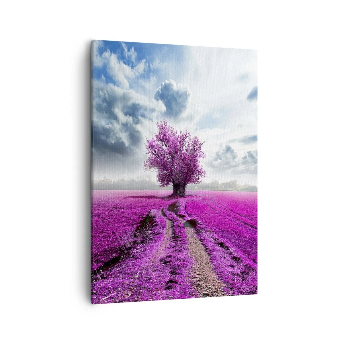 Canvastavla - Bild på duk - Ljunghed - 50x70 cm
