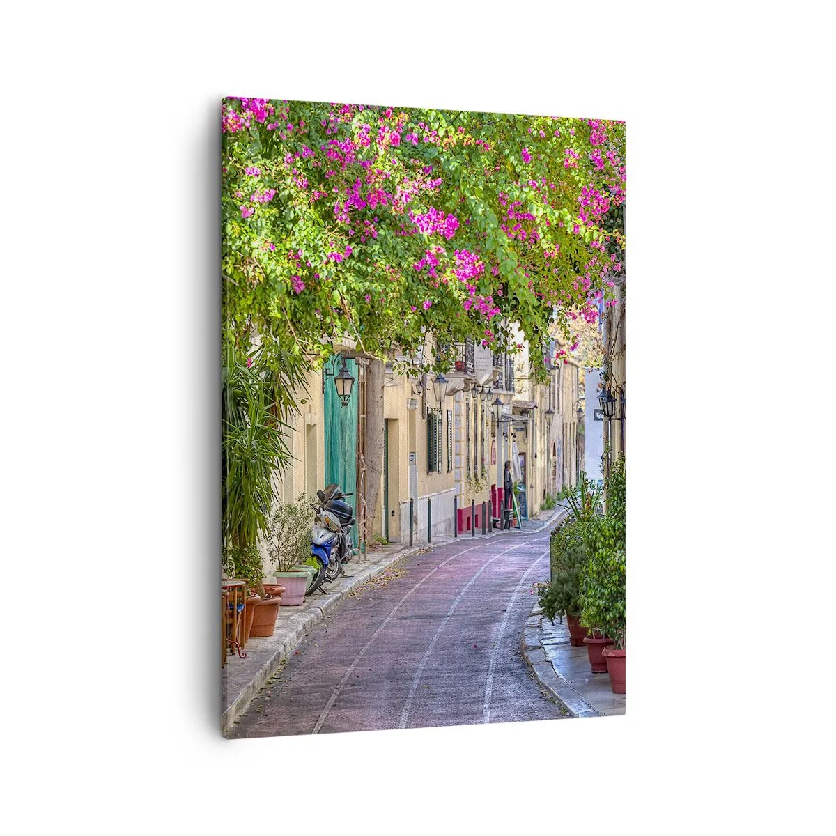 Canvastavla - Bild på duk - Blommande gata - 50x70 cm