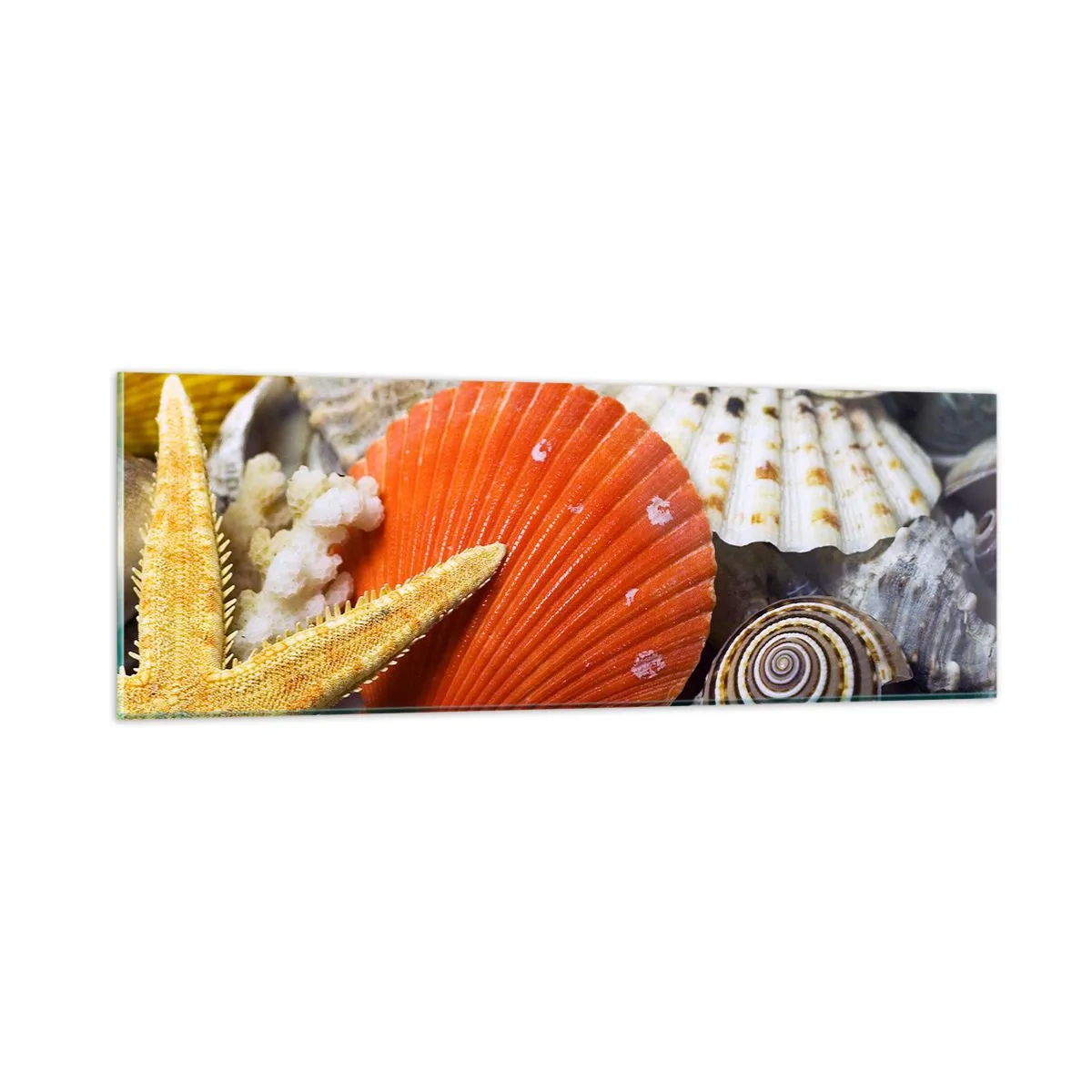 Glastavla - Bild på glas - Havets skatter - 90x30 cm