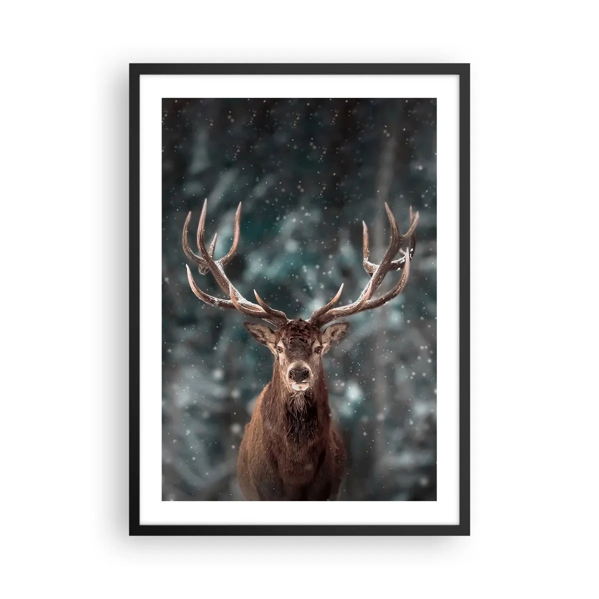 Affisch i svart ram - Porträtt av en hjort med imponerande horn mot bakgrund av en vinterskog - 50x70cm - Krönt skogens kung - Modern väggdekoration för vardagsrum och sovrum ARTTOR