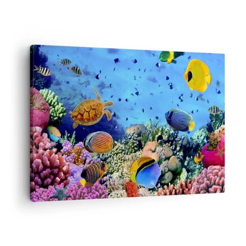 Canvastavla - Bild på duk - Korallrev med färgglada fiskar och en havssköldpadda - 70x50cm - Vad vet vi om livet... - Modern väggdekoration för vardagsrum och sovrum ARTTOR