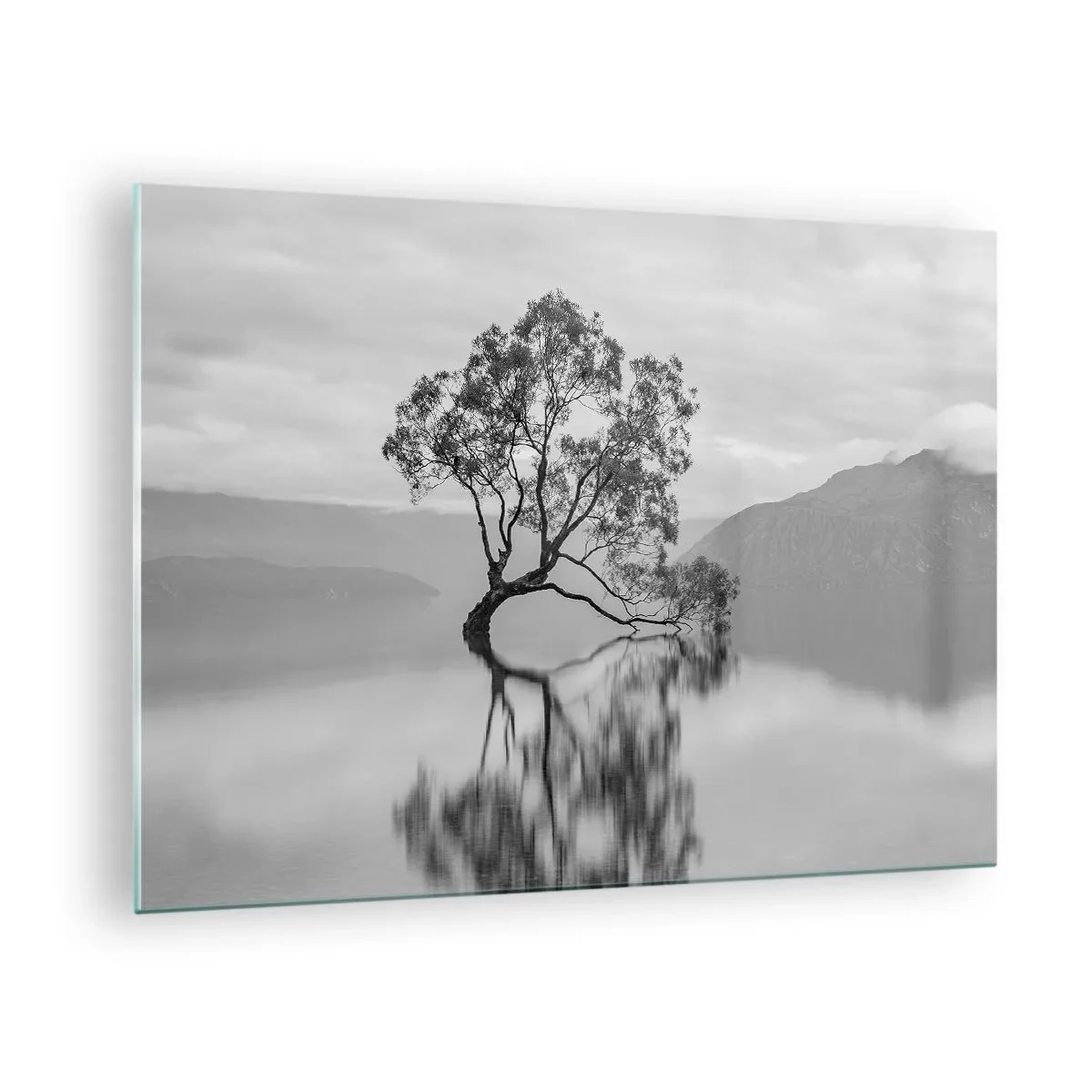 Glastavla - Bild på glas - Ett ensamt träd på vattnet i ett svartvitt landskap - 70x50cm - Det finns ett land - Modern väggdekoration för vardagsrum och sovrum ARTTOR