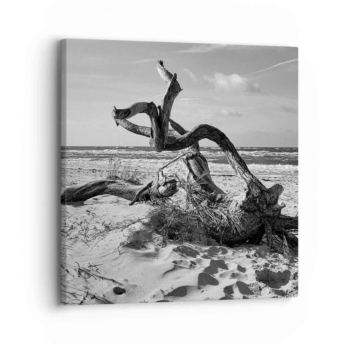 Canvastavla - Bild på duk - Havets skulptur - 30x30 cm