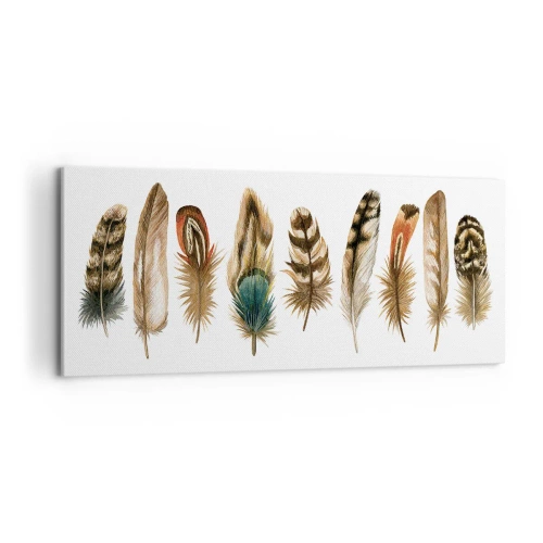 Canvastavla - Bild på duk - Fjädervariation - 100x40 cm