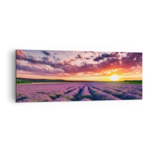 Canvastavla - Bild på duk - Lavandelvärld - 140x50 cm