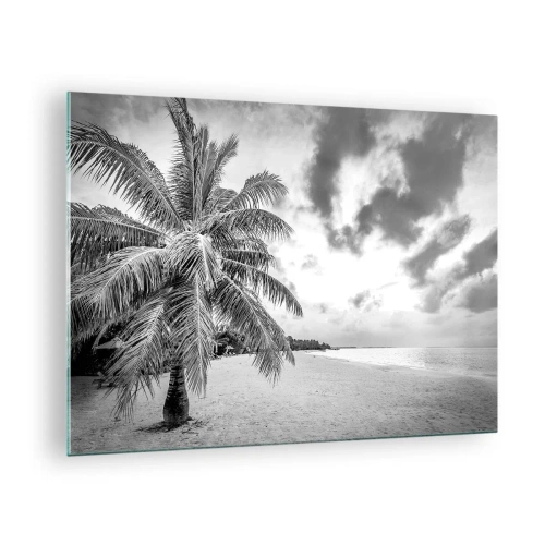 Glastavla - Bild på glas - En svartvit palm på en tom strand med en molnig himmel. - 70x50cm - När du längtar efter ensamheten... - Modern väggdekoration för vardagsrum och sovrum ARTTOR
