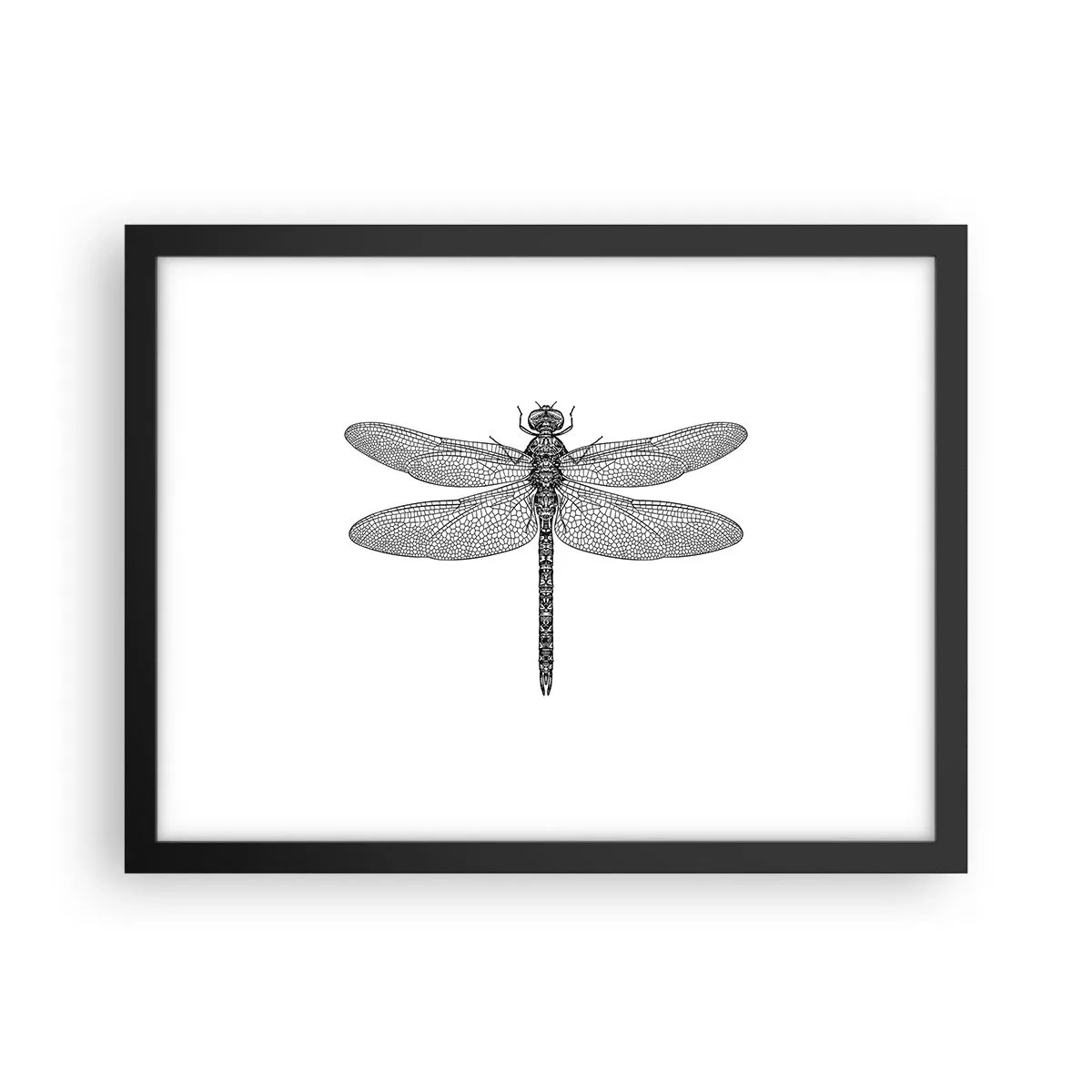 Affisch i svart ram - Precision i naturen - 40x30 cm