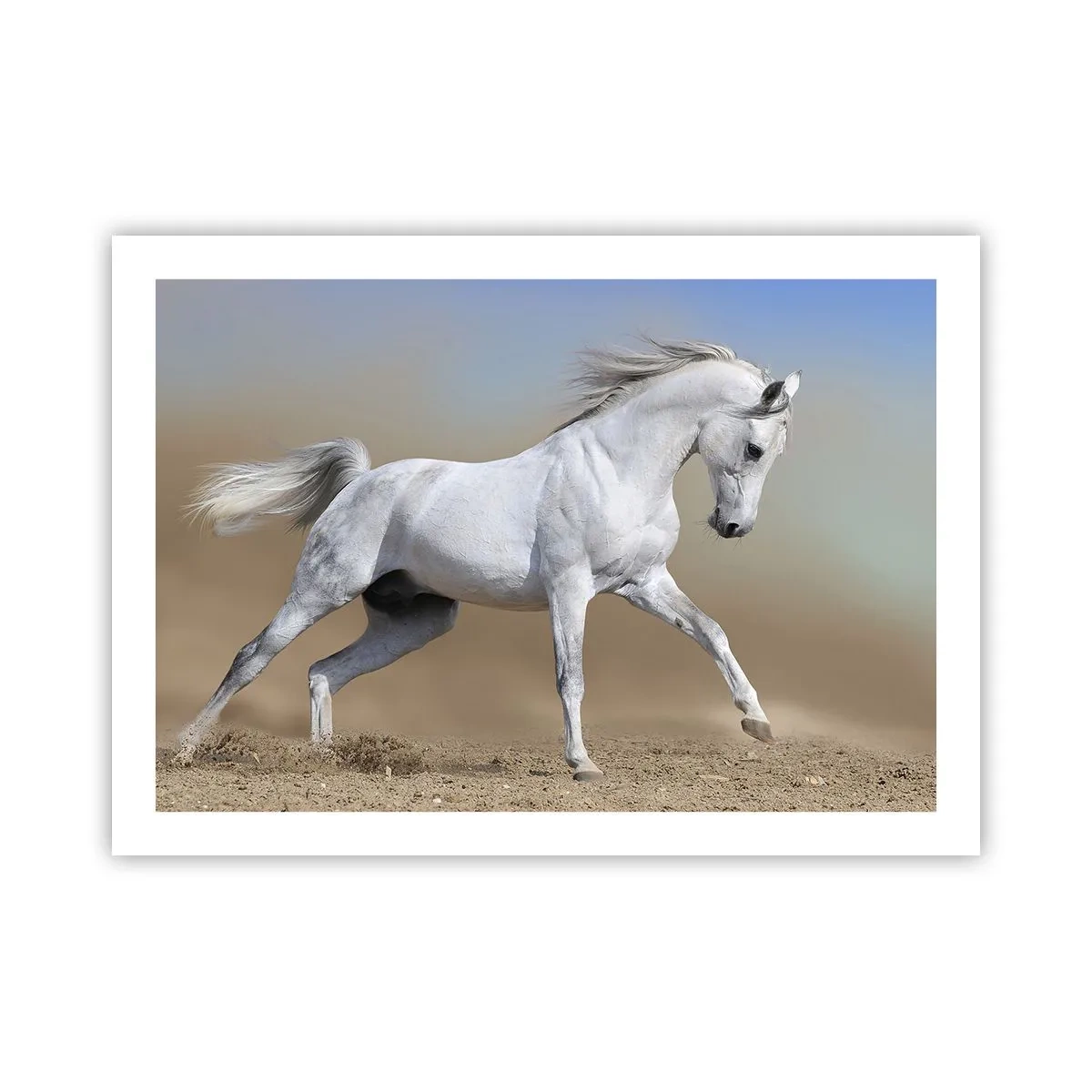 Affisch - Den vackraste arabiska sagan - 70x50 cm