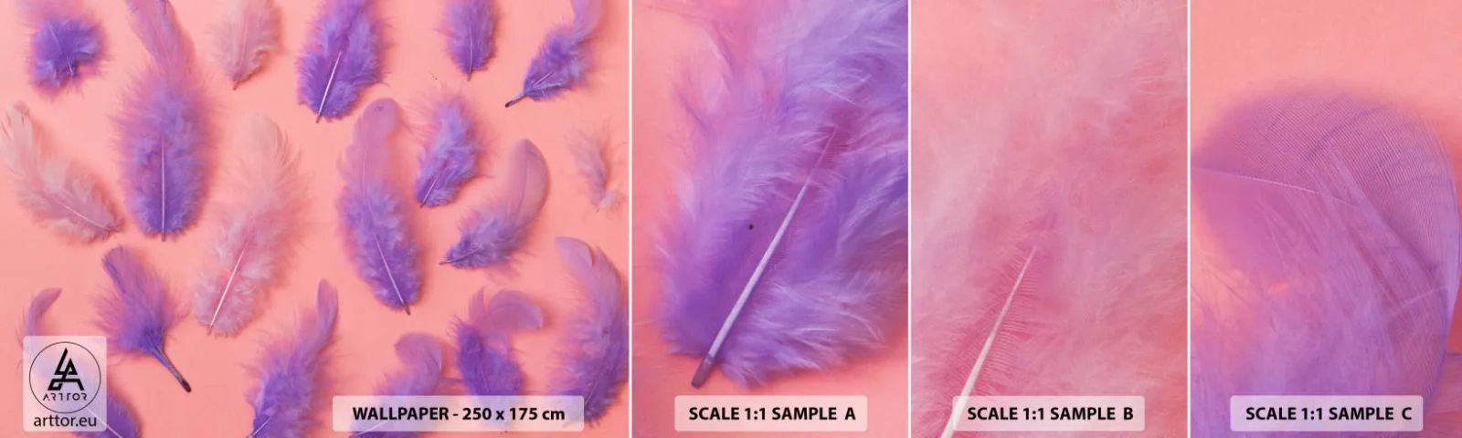 Provbit av självhäftande fototapet Deluxe Sticker - Lusten liljefågel - Fågel fjäder, Inspiration, Grafik - 100x30 cm