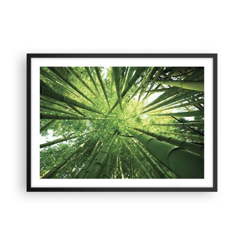 Affisch i svart ram - I en bambushage - 70x50 cm