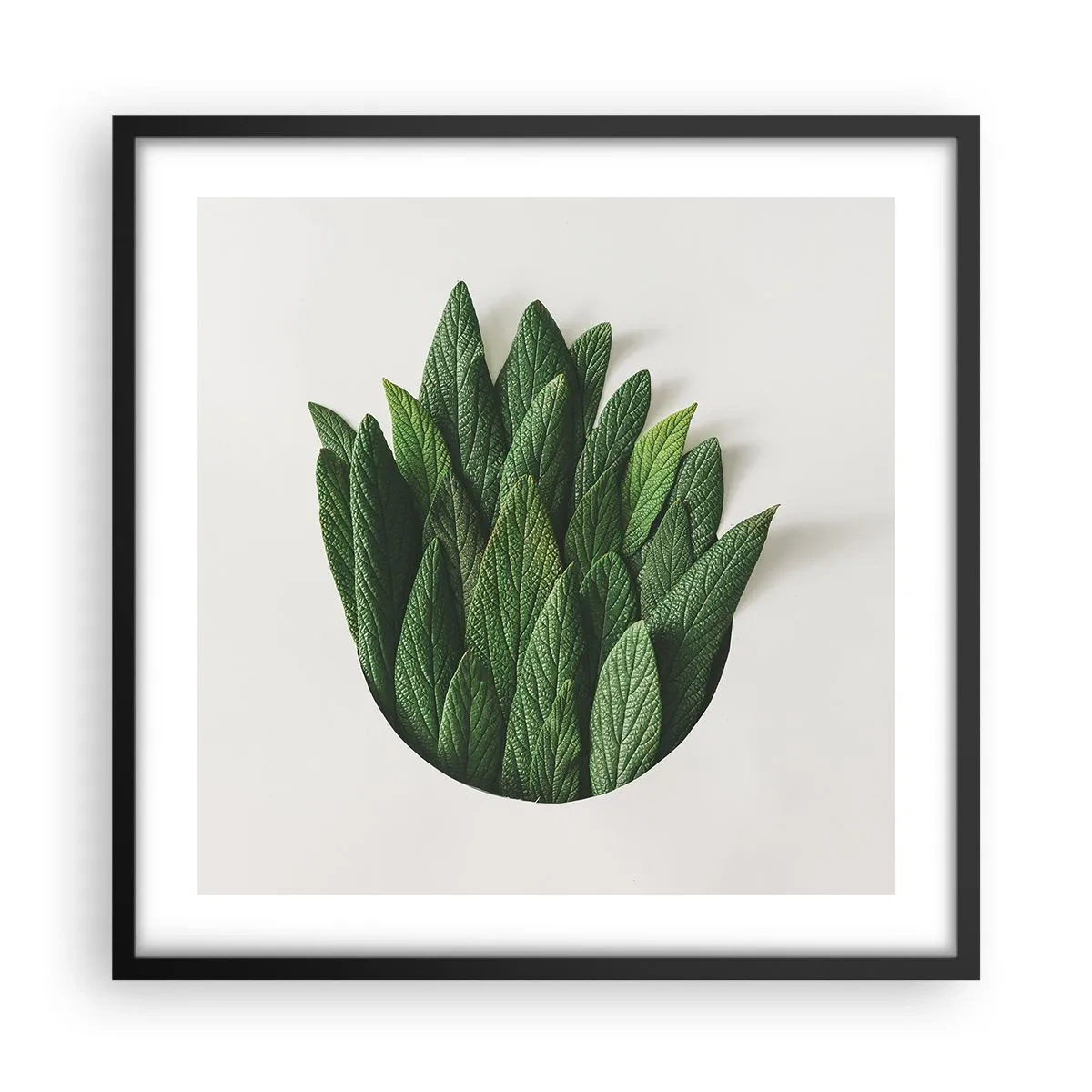 Affisch i svart ram - Ostoppbar nyfikenhet - 50x50 cm