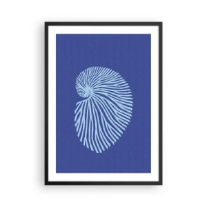 Affisch i svart ram - Stiliserad skalgrafik i spiralform - 50x70cm - Födelse av ett skal - Modern väggdekoration för vardagsrum och sovrum ARTTOR