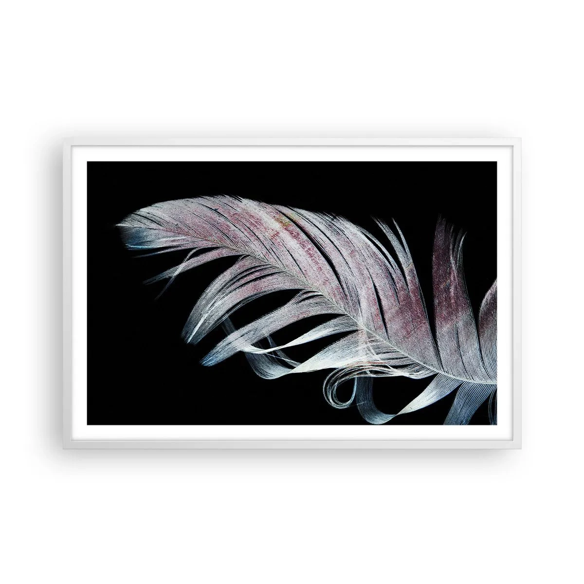 Affisch i vit ram - Tänk på smekning - 91x61 cm