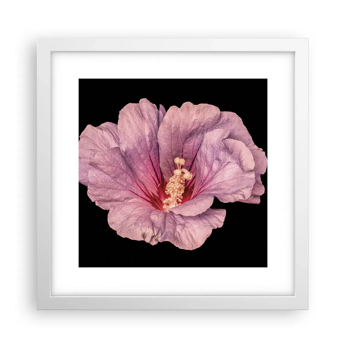 Affisch i vit ram - Rakt till hjärtat - 30x30 cm