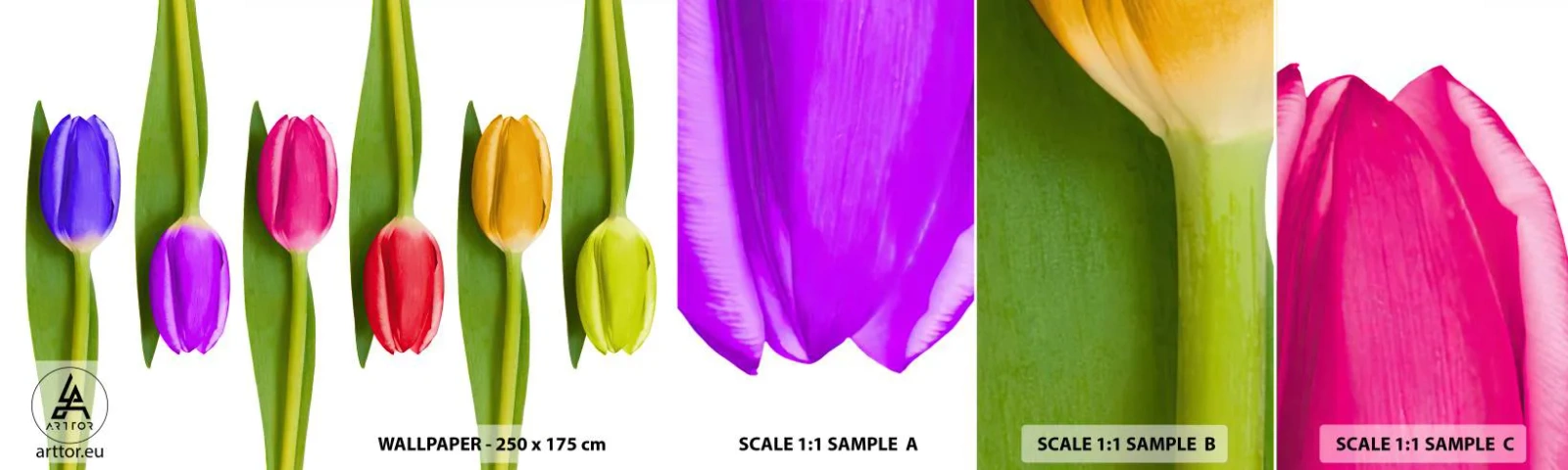Provbit av självhäftande fototapet Deluxe Sticker - Regnbågskomposition - Blommor, Tulpaner, Natur - 100x30 cm