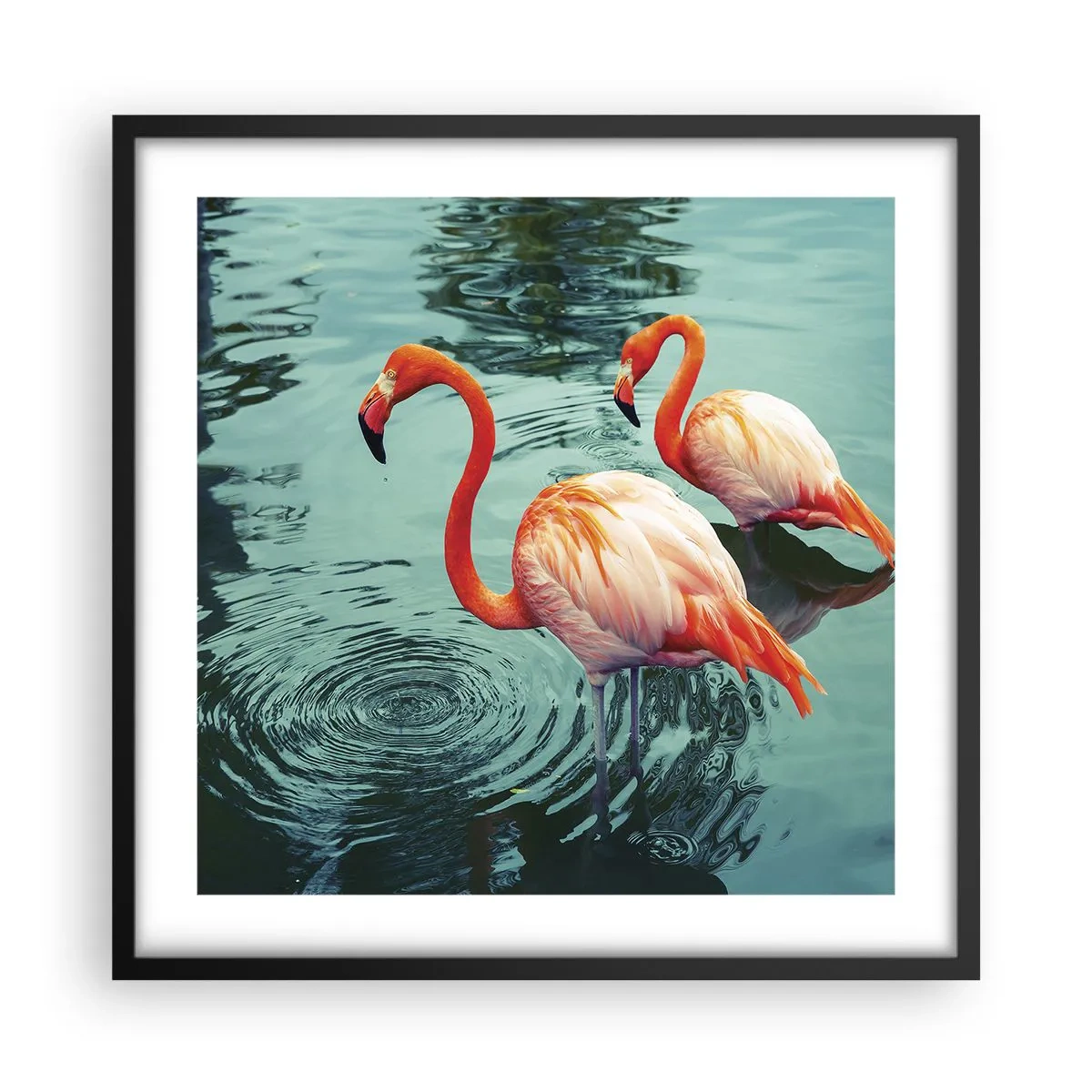 Affisch i svart ram - Nu är vi på modet - 50x50 cm