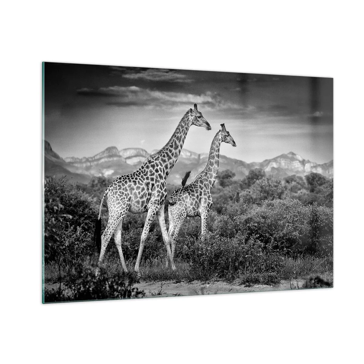 Glastavla - Bild på glas - Högre klasser i Afrika - 100x70 cm