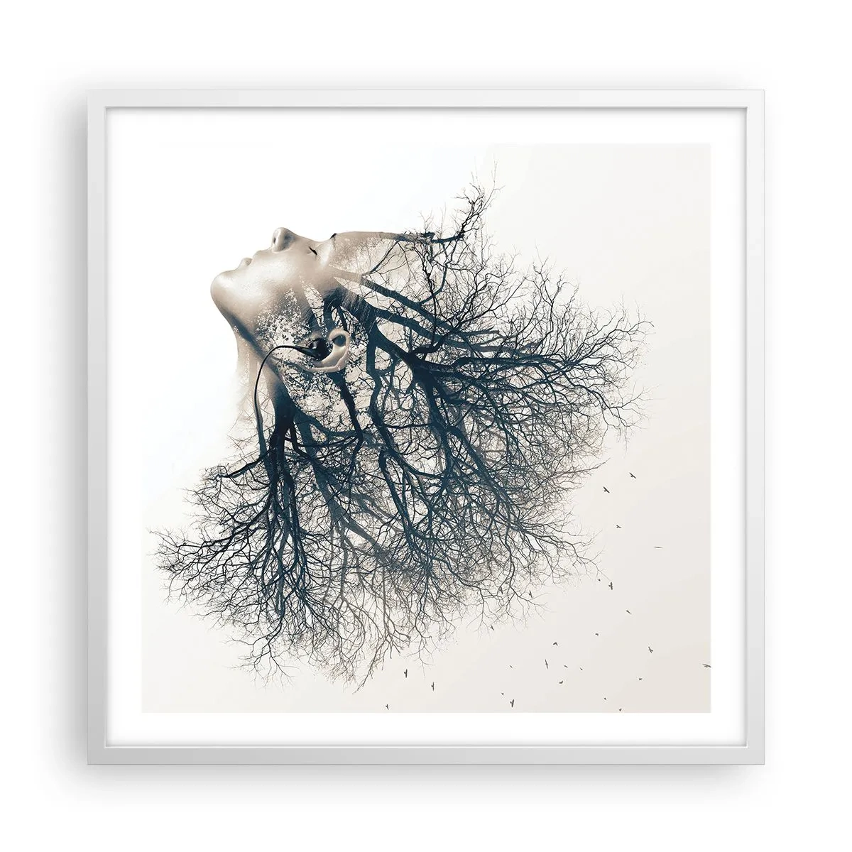 Affisch i vit ram - Lyssnar på trädens viskningar - 60x60 cm