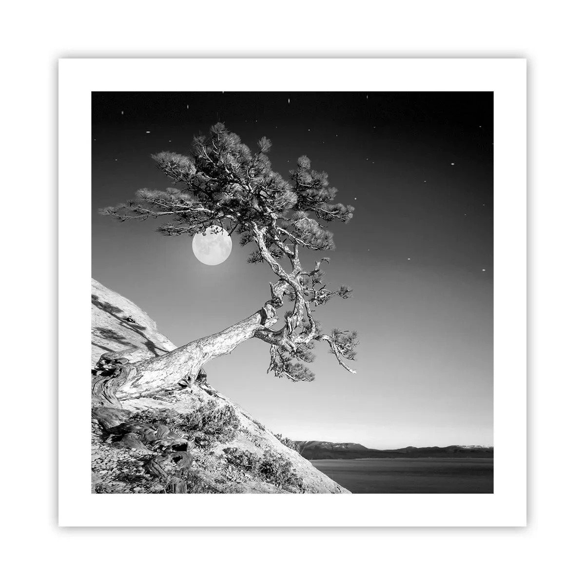 Affisch - Segerrik kämpe - 50x50 cm