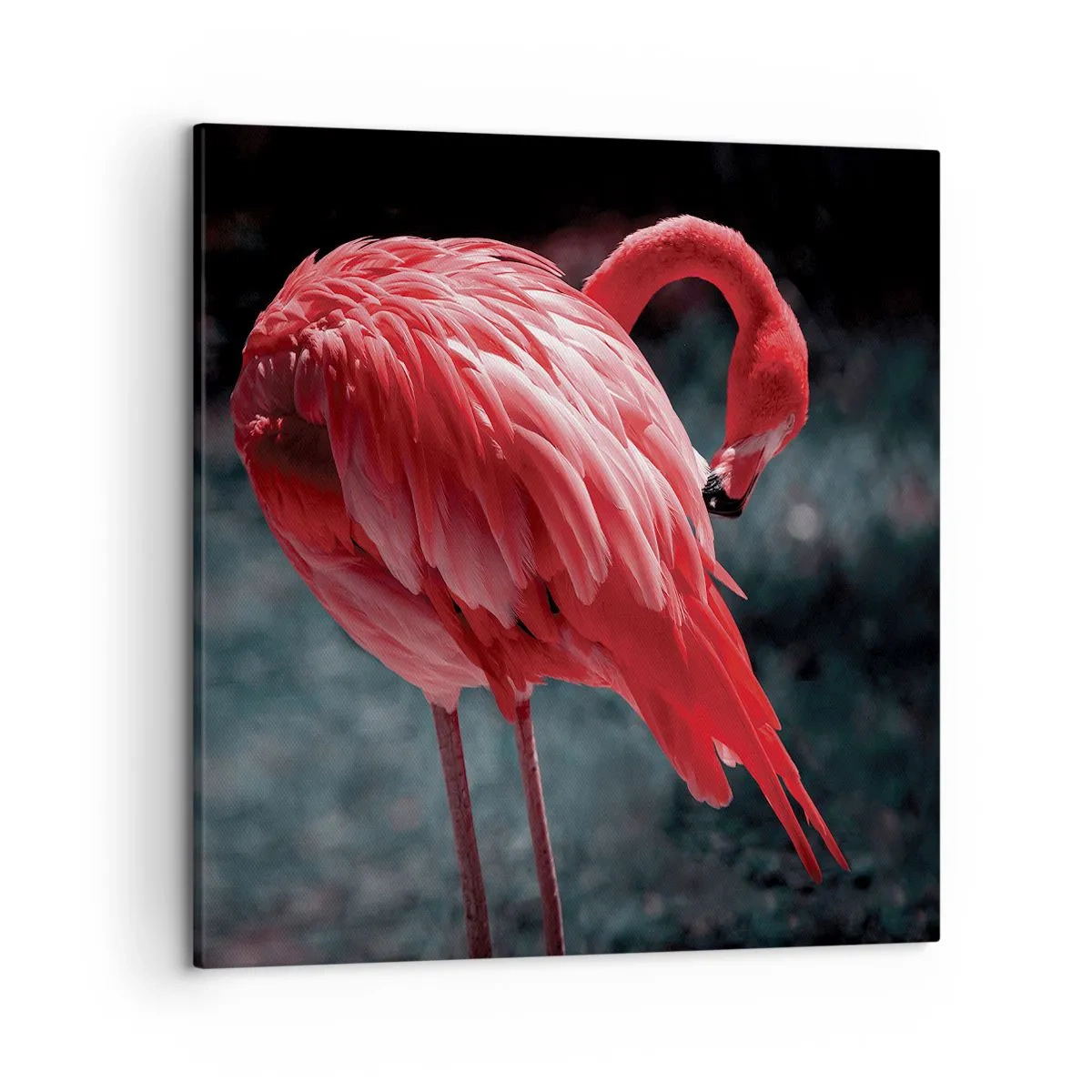 Canvastavla - Bild på duk - Djuprött naturpoem - 50x50 cm