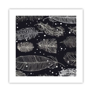 Affisch - Fjäderspets - 40x40 cm