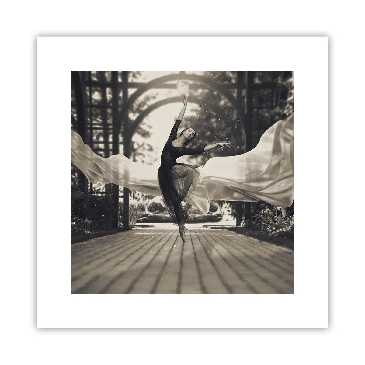 Affisch - Trädgårdsandens dans - 30x30 cm