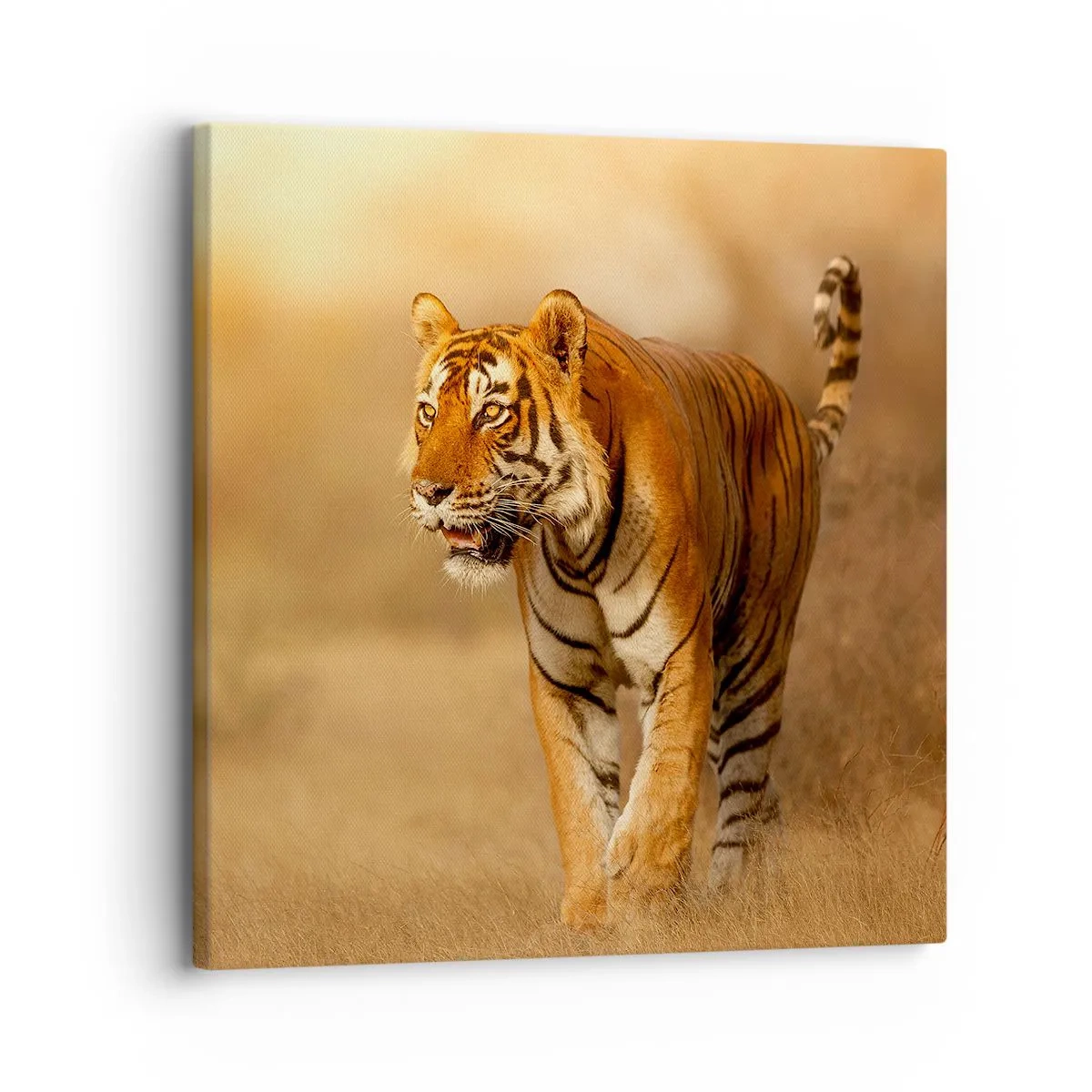 Canvastavla - Bild på duk - Före attack - 30x30 cm