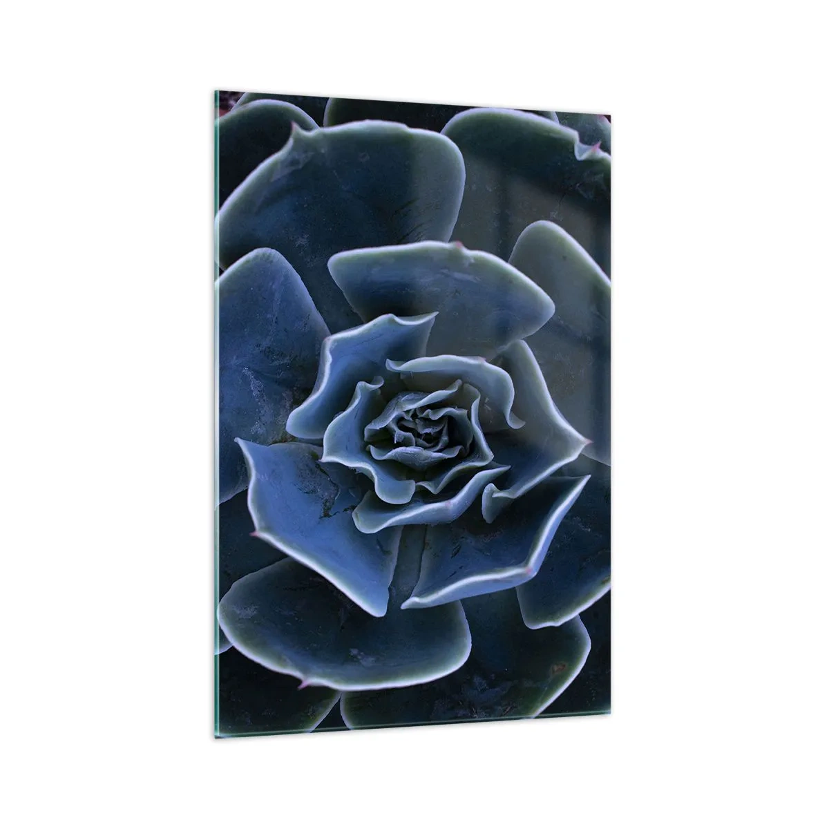 Glastavla - Bild på glas - Öknens blomma - 70x100 cm