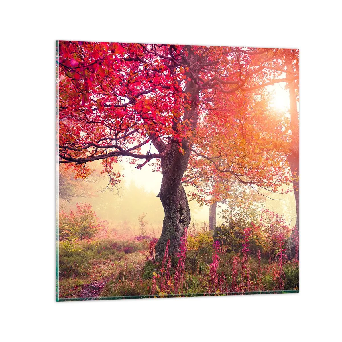 Glastavla - Bild på glas - Våldsam blommande - 50x50 cm