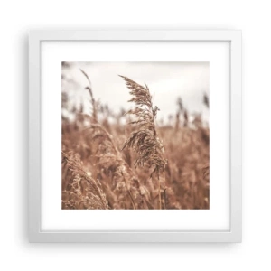 Affisch i vit ram - Hösten är framme på åkrarna - 30x30 cm