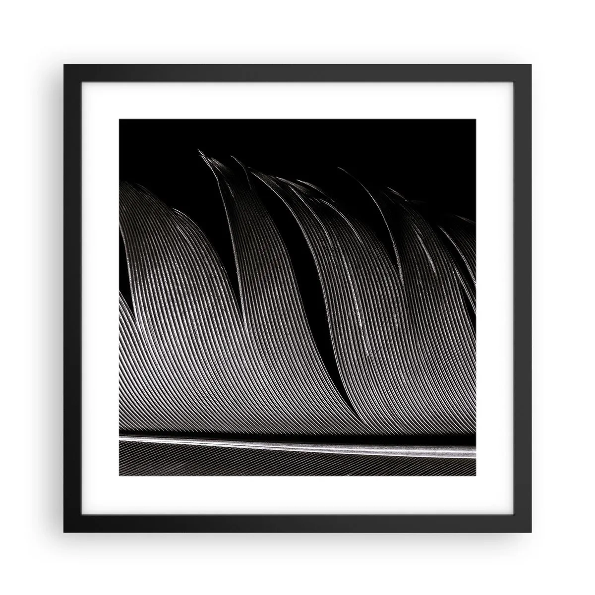 Affisch i svart ram - Fjäder - en underbar konstruktion - 40x40 cm