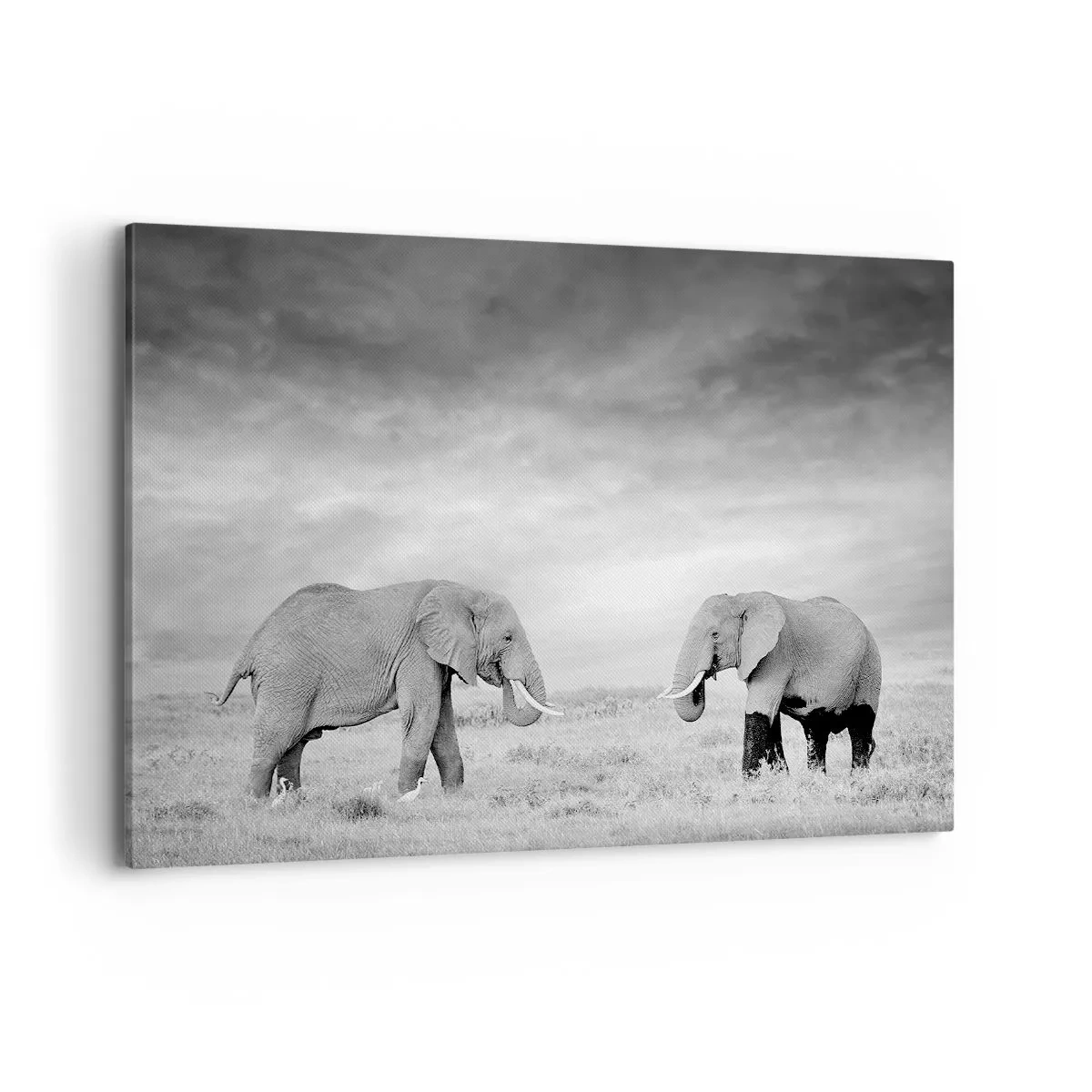 Canvastavla - Bild på duk - Grått är vackert - 120x80 cm