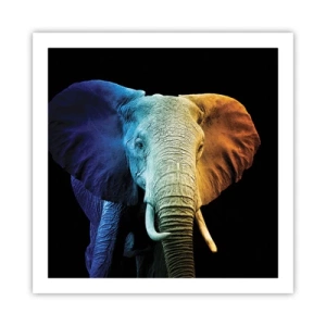 Affisch - Excentriker, ej kuf - 60x60 cm