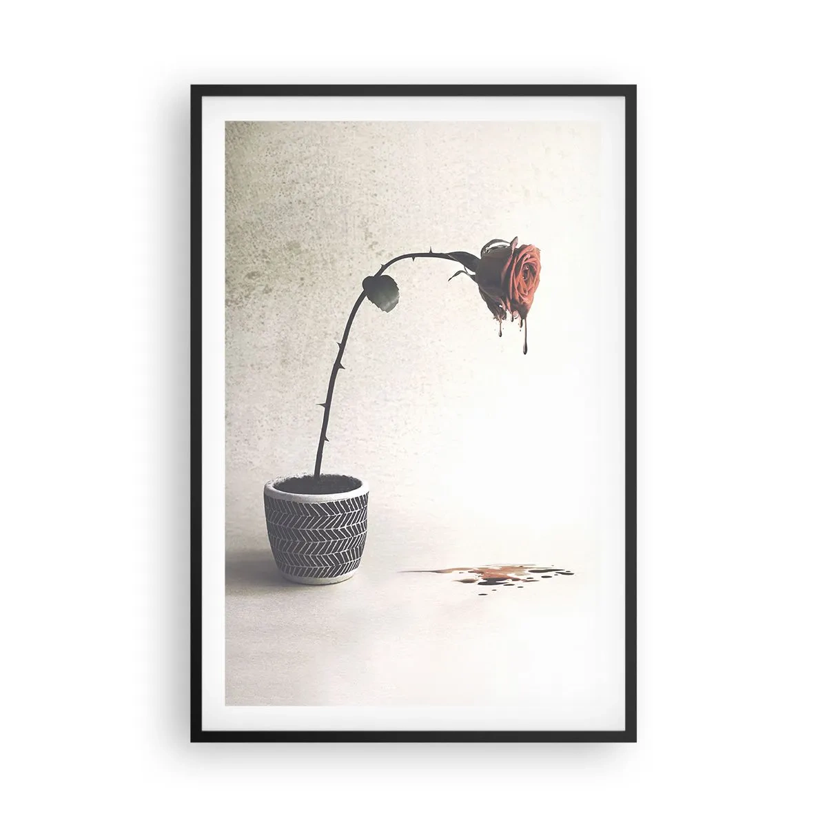 Affisch i svart ram - Rosa dolorosa - 61x91 cm