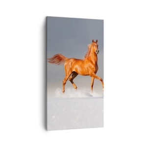 Canvastavla - Bild på duk - Dansande grace - 45x80 cm