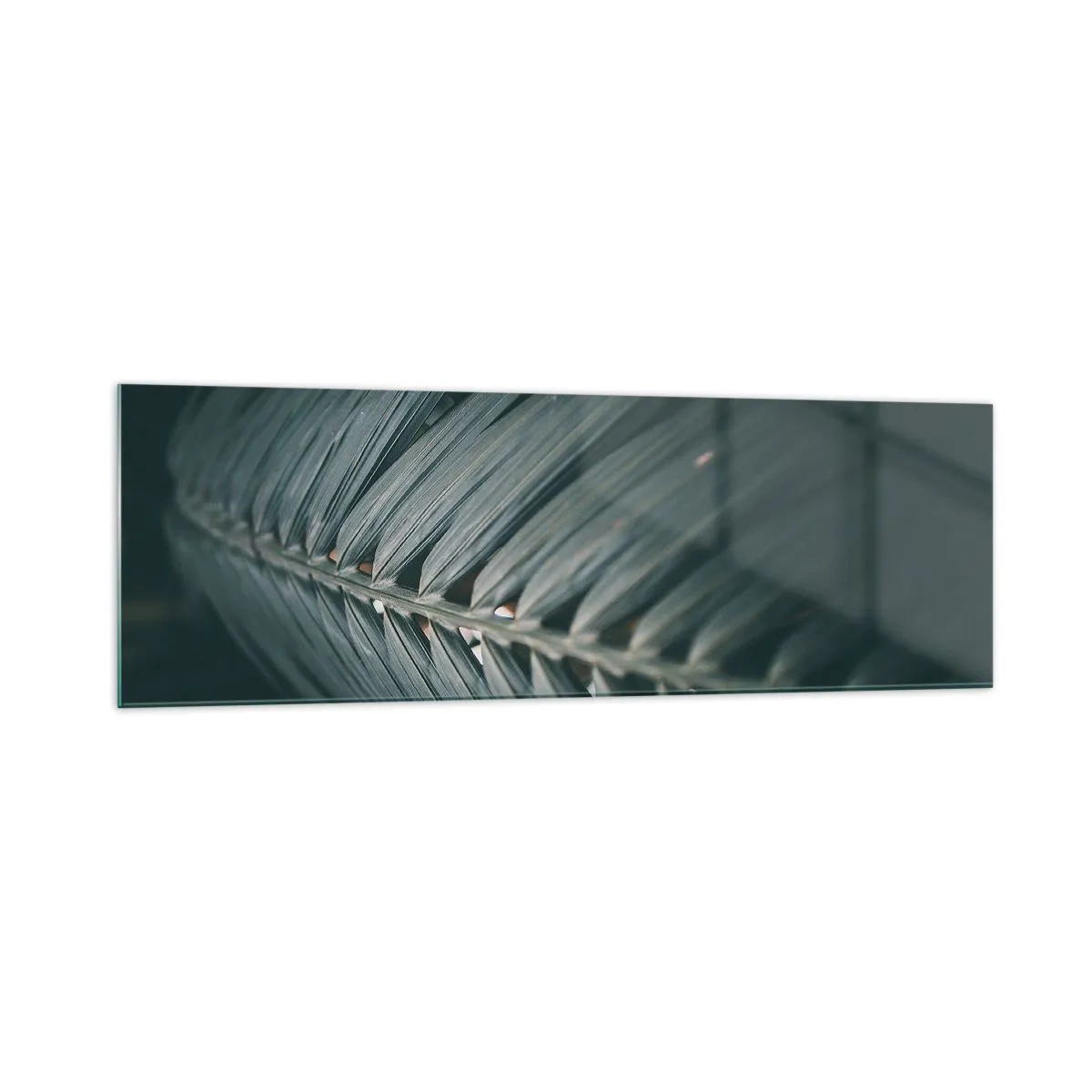 Glastavla - Bild på glas - Naturens precision - 160x50 cm