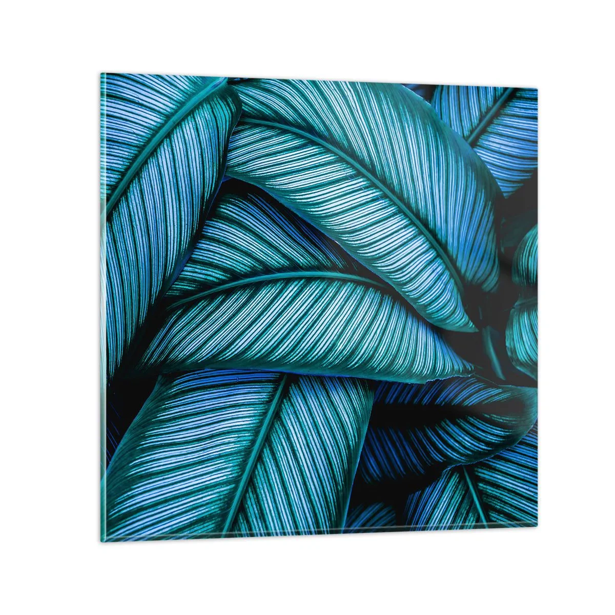 Glastavla - Bild på glas - Livslinjer - 30x30 cm